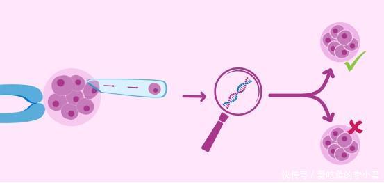 42岁女性自然受孕成功率分析